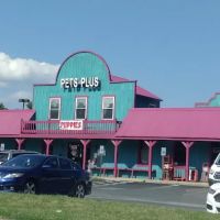 Pets Plus Inc ico