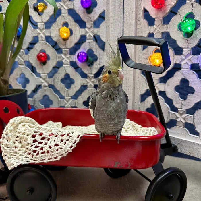 Pets Plus Inc Picture 5