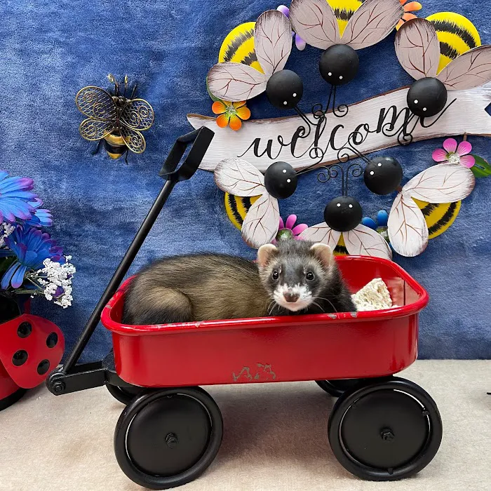 Pets Plus Inc Picture 7