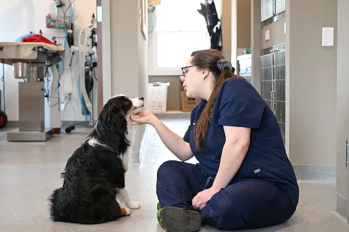 Symbios Animal Health Picture 1
