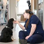 Symbios Animal Health