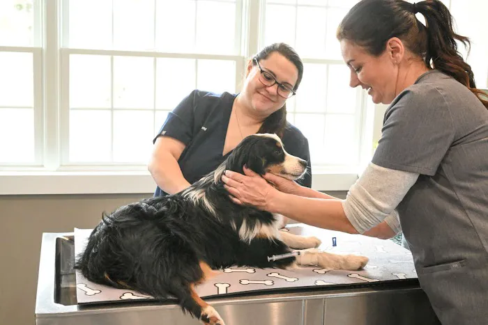 Symbios Animal Health Picture 5
