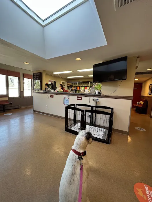 Madison Animal Hospital Picture 1