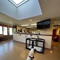 Madison Animal Hospital ico