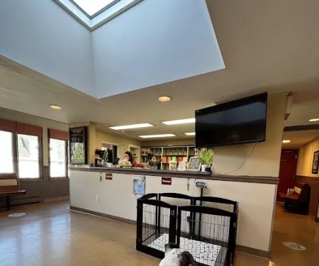 Madison Animal Hospital
