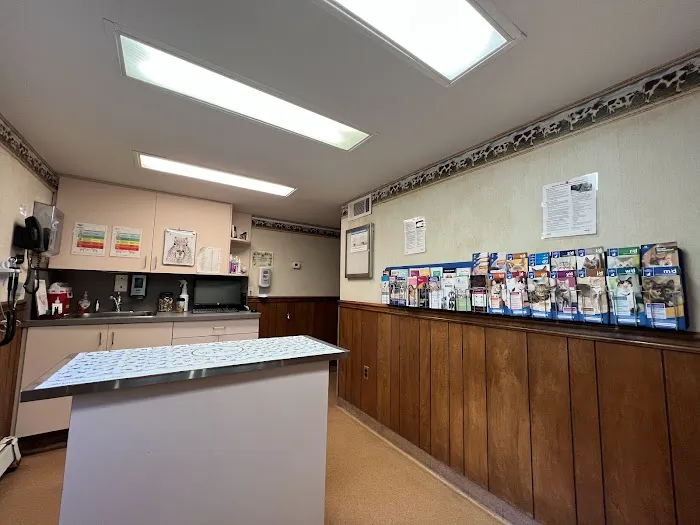 Madison Animal Hospital Picture 10