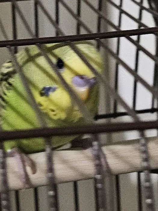 Petco Picture 3