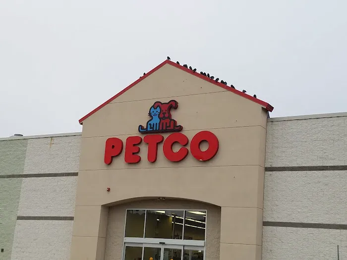 Petco Picture 2