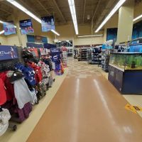 Petco ico