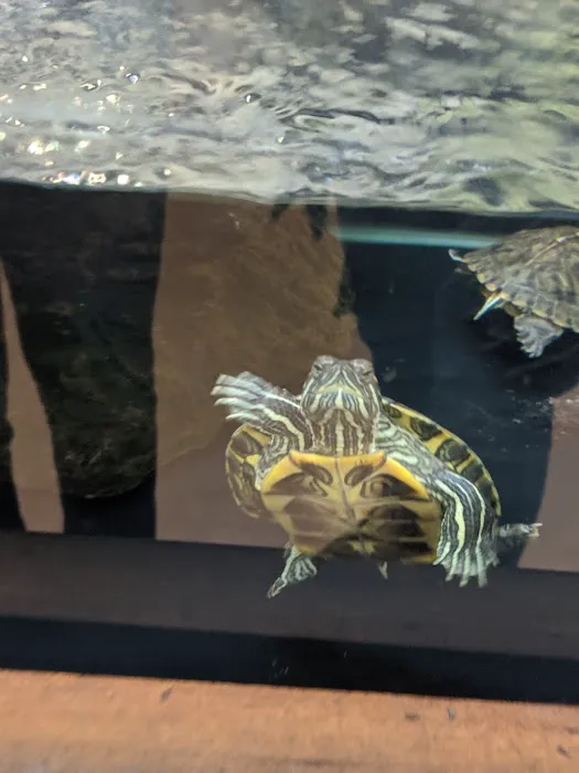 Petco Picture 4