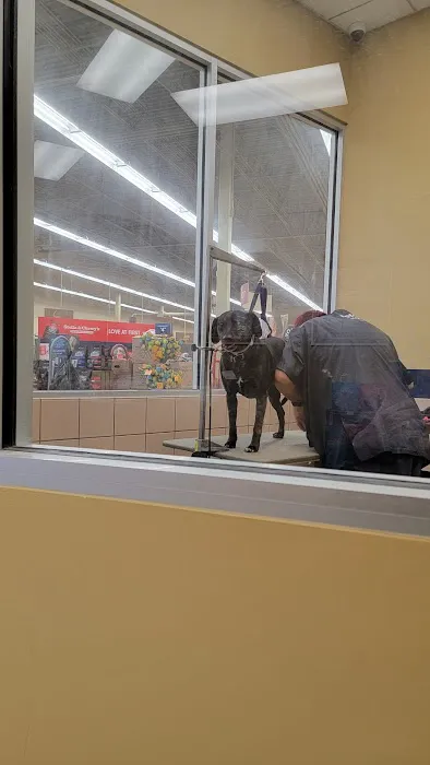 Petco Picture 5