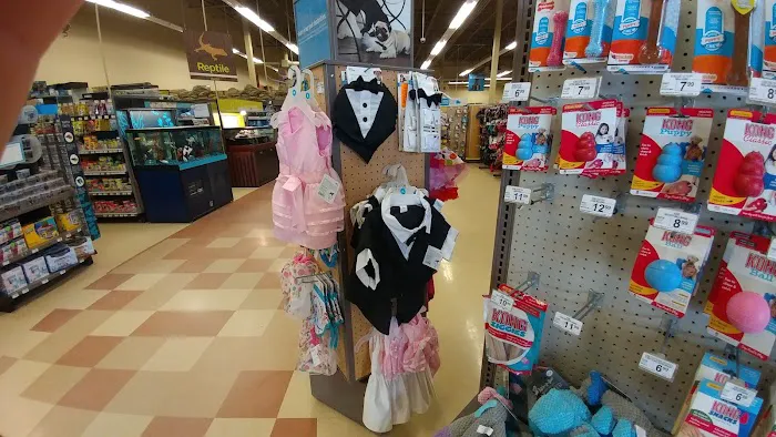 Petco Picture 10