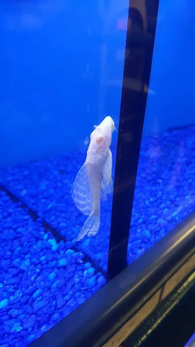 Pet Junction Picture 1