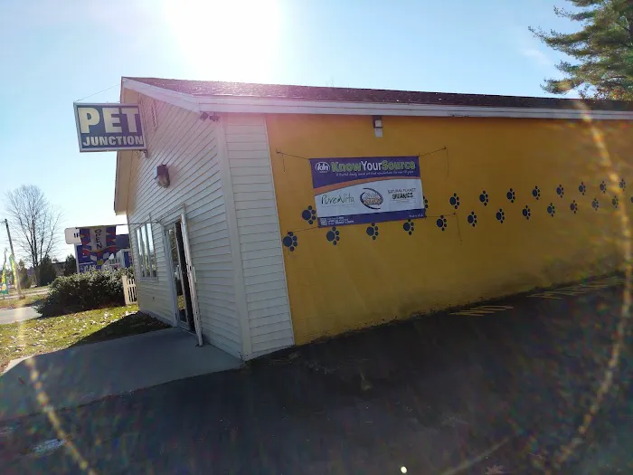 Pet Junction Picture 3