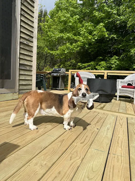 The Maine Pooch Picture 7