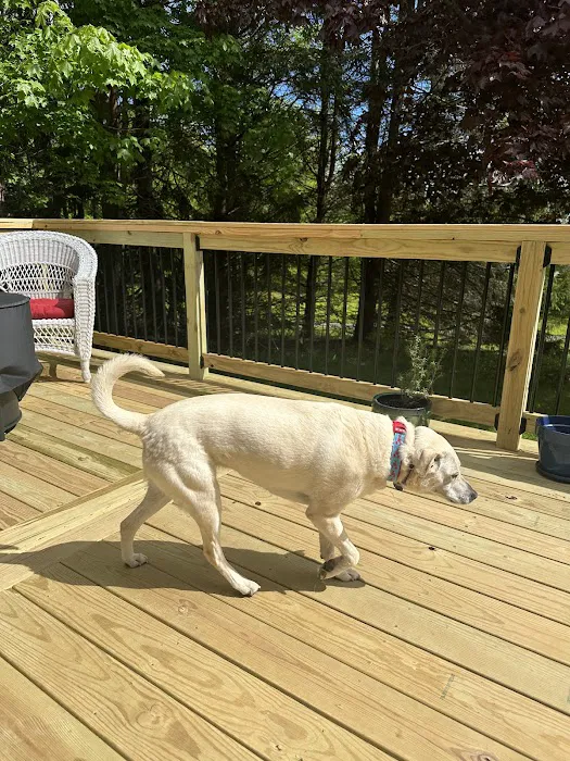 The Maine Pooch Picture 9
