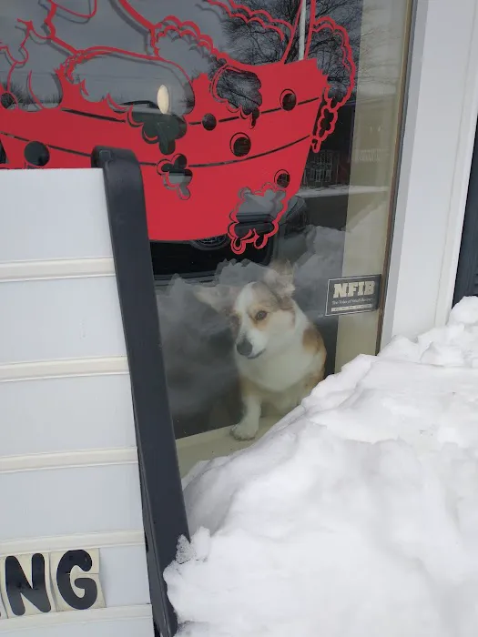 Waggerstown Pet Nutrition, Supplies & Service Picture 5