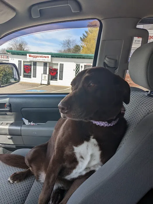 Waggerstown Pet Nutrition, Supplies & Service Picture 9