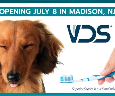 Veterinary Dentistry Specialists