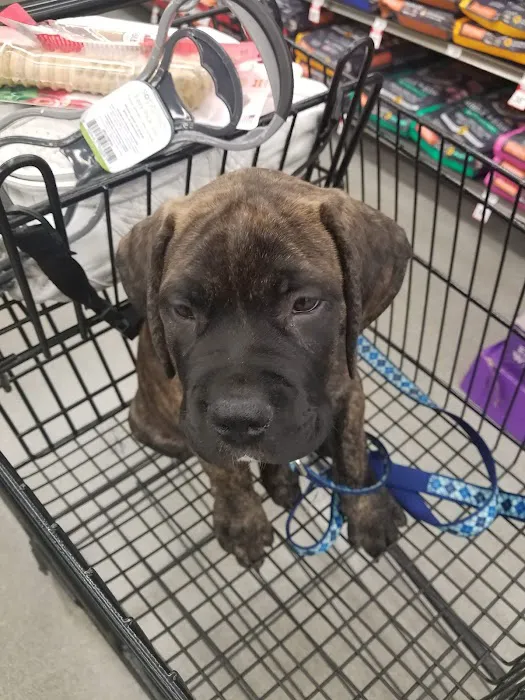 Petco Picture 2
