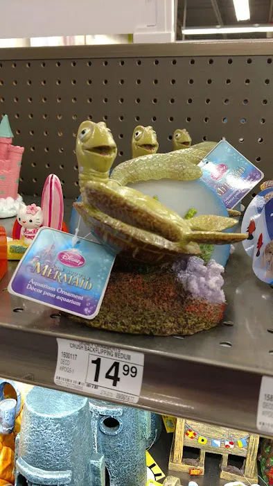 Petco Picture 7