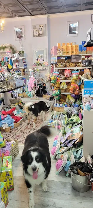 Happy Tails Shoppe Picture 4