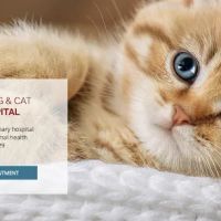 Summit Dog and Cat Hospital ico