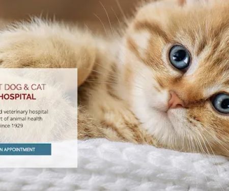 Summit Dog and Cat Hospital