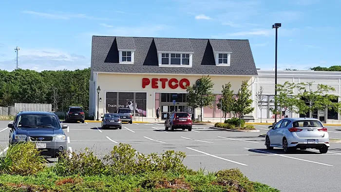 Petco Picture 3