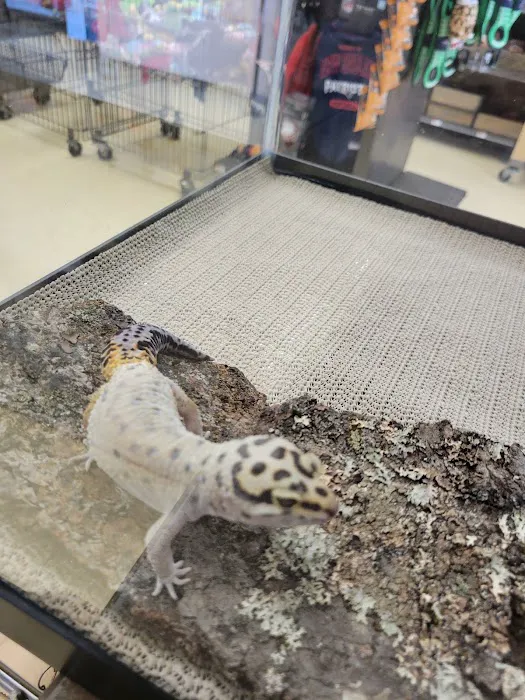 Petco Picture 1