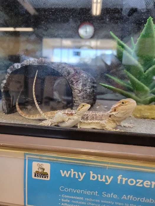 Petco Picture 2