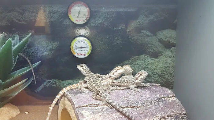 Petco Picture 6