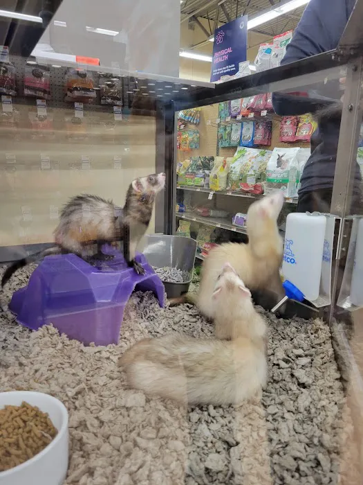 Petco Picture 4
