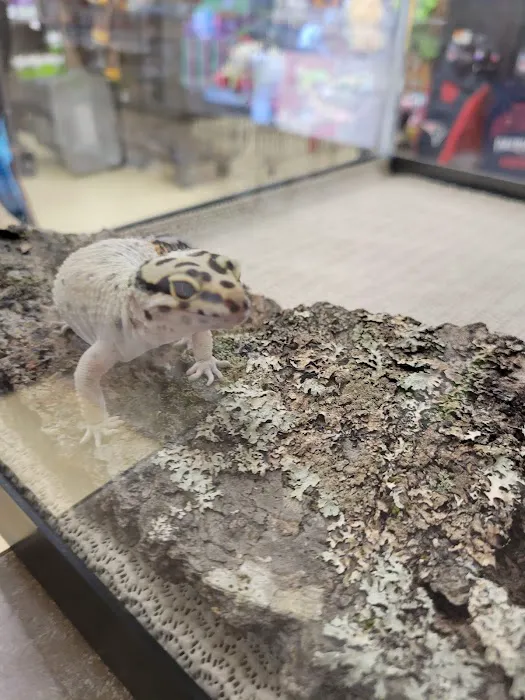Petco Picture 9