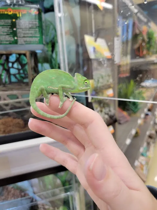 Petco Picture 8
