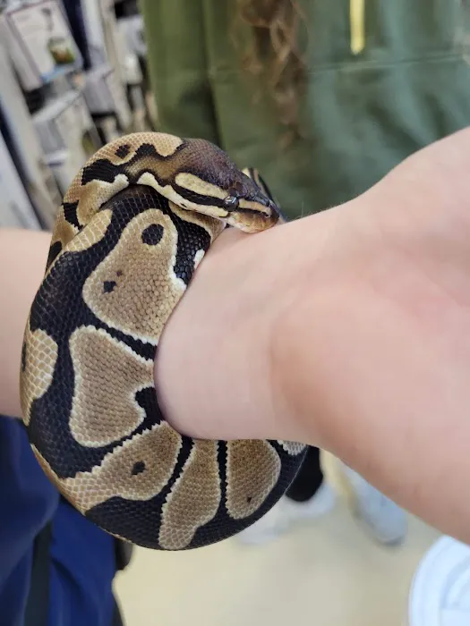 Petco Picture 7