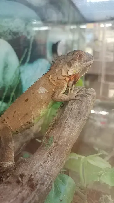 Petco Picture 10