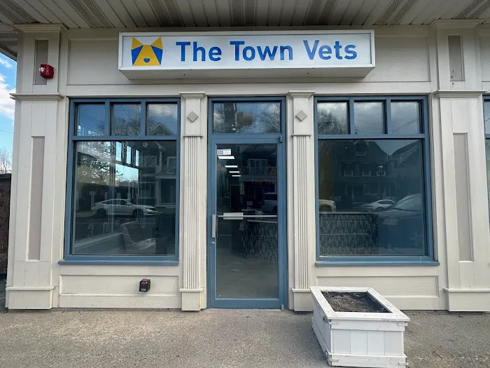 The Town Vets Picture 3