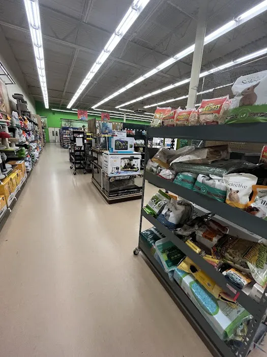 Petco Picture 3