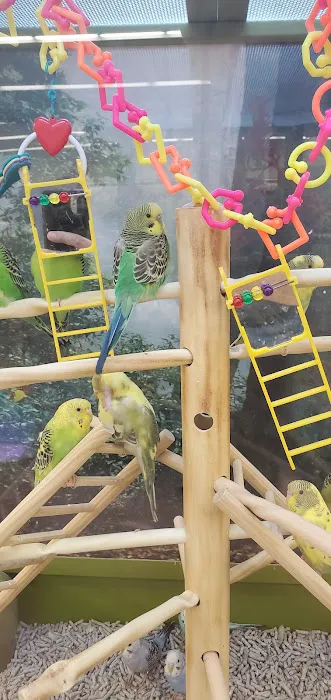Petco Picture 5