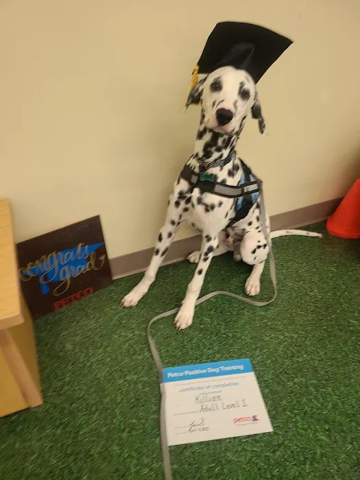 Petco Picture 4