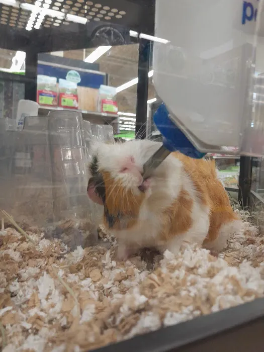 Petco Picture 10