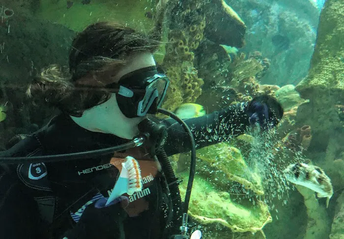 New England Aquarium Services Picture 1