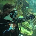 New England Aquarium Services