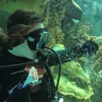 New England Aquarium Services ico