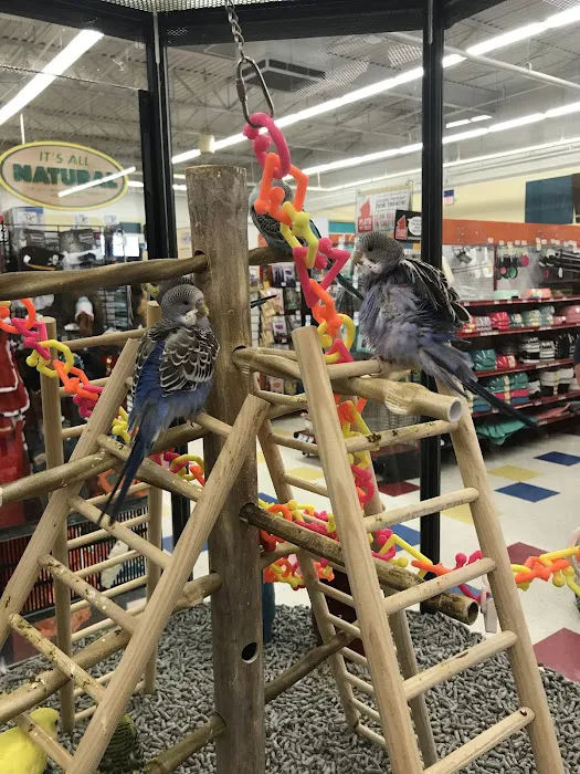 Petco Picture 1
