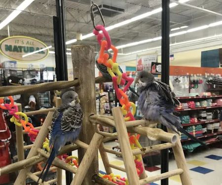 Petco