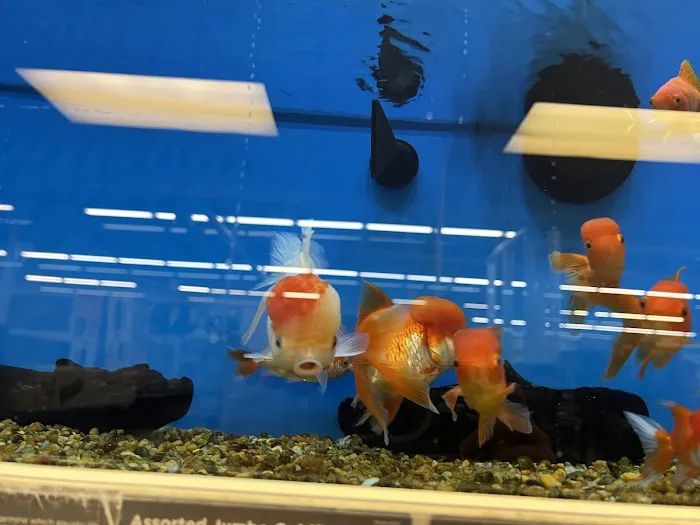 Petco Picture 2