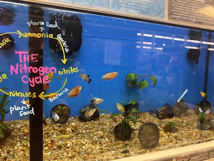 Petco Picture 6