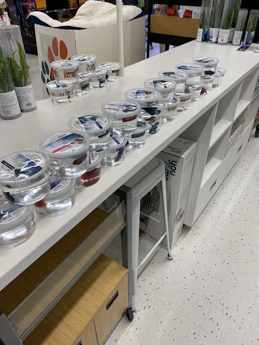 Petco Picture 5
